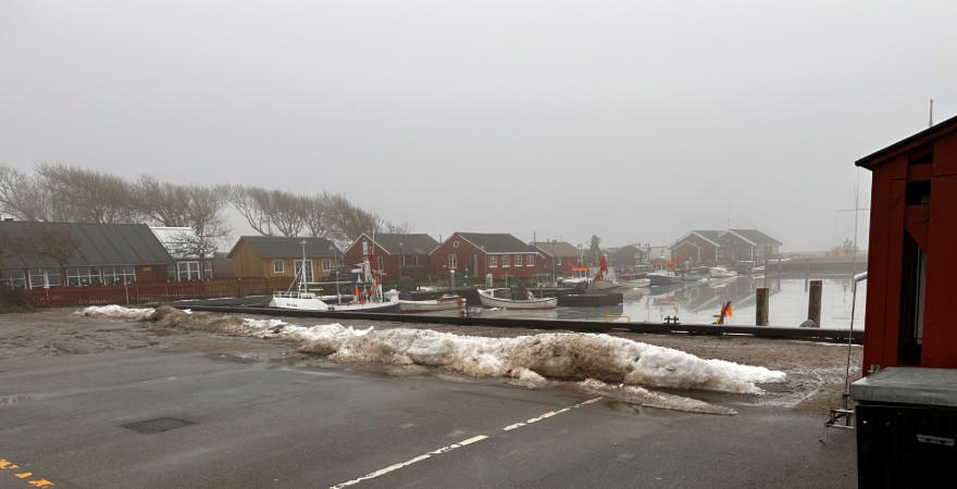 Havnepladsen, Ringkøbing Havn